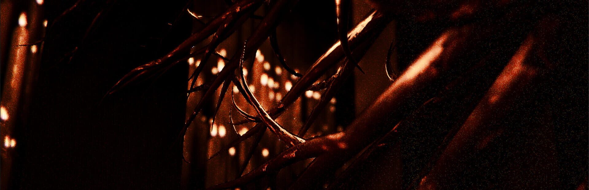 Artwork for Cult of Flies