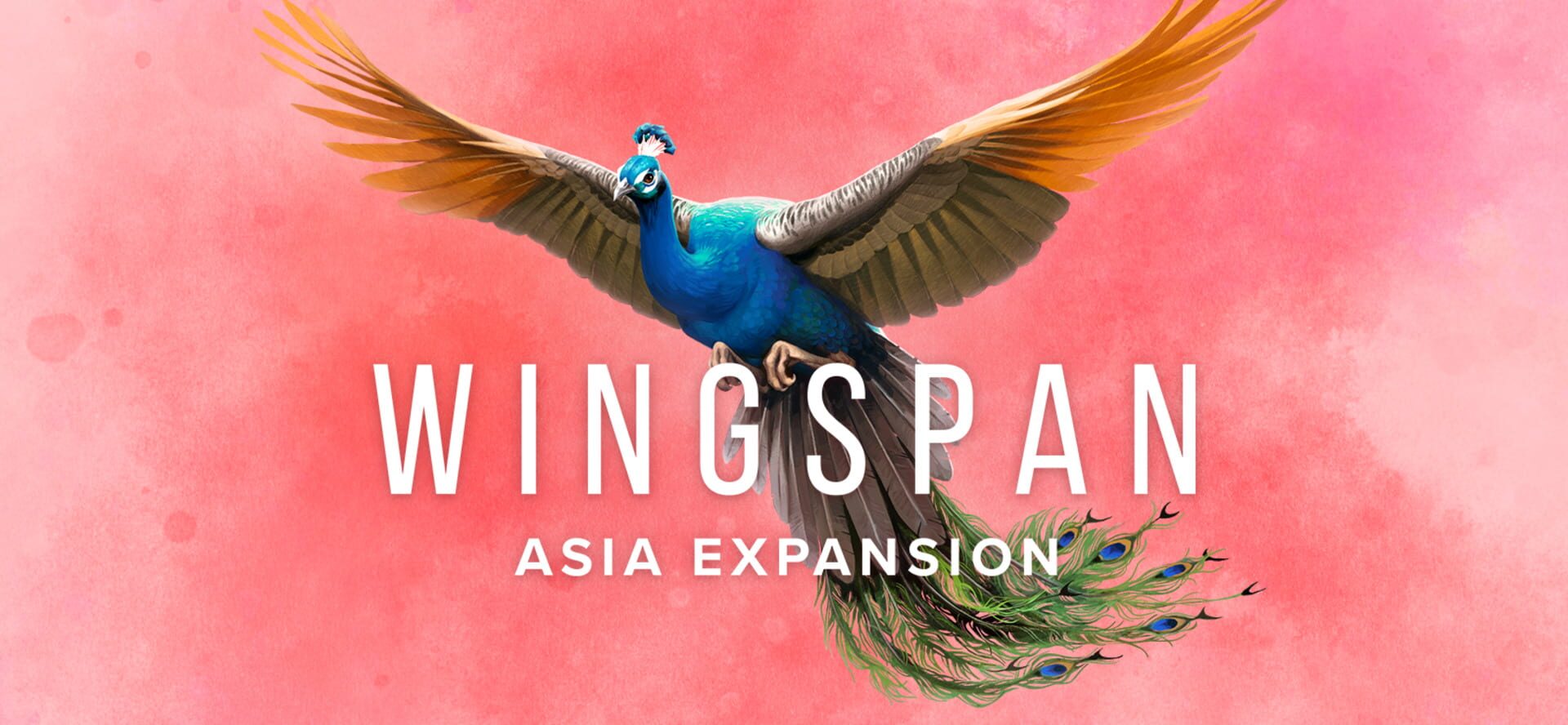 Wingspan: Asia Expansion artwork
