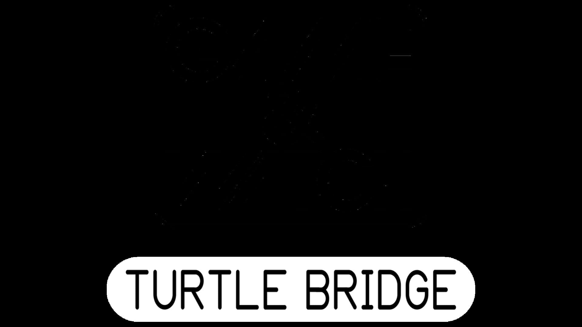 Turtle Bridge