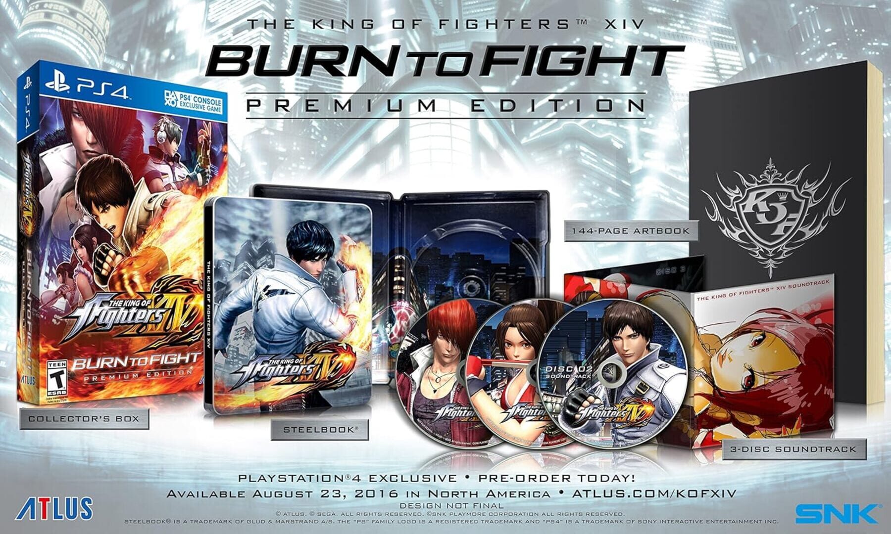 Artwork for The King of Fighters XIV: Burn to Fight Premium Edition
