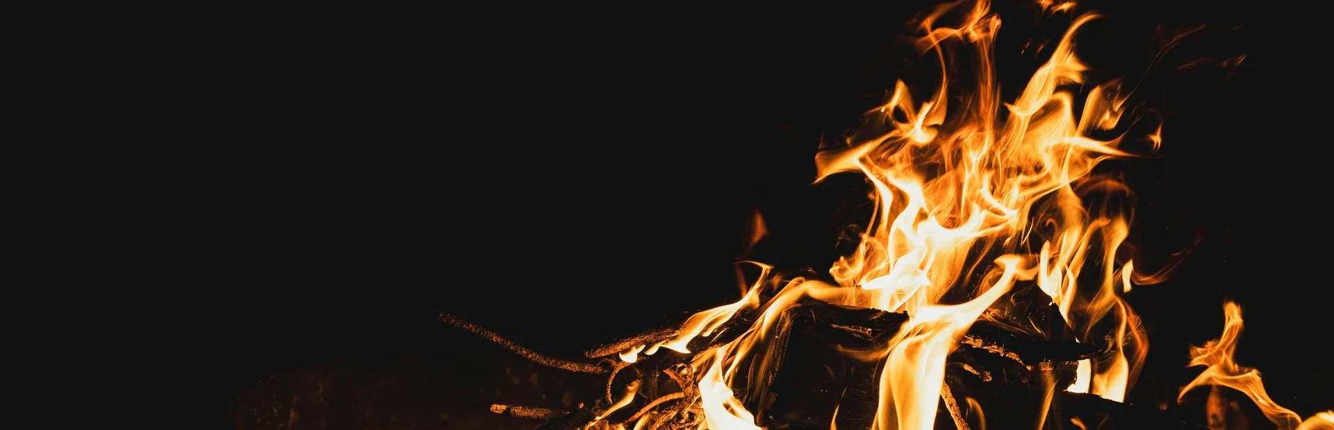 Last Summer at Camp Apocalypse Blood: 101 Ways to Not Capture Bigfoot
