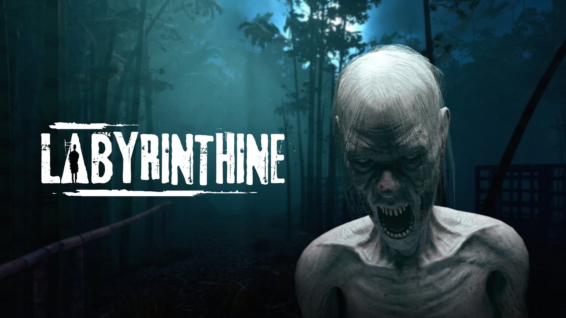 cover-Labyrinthine