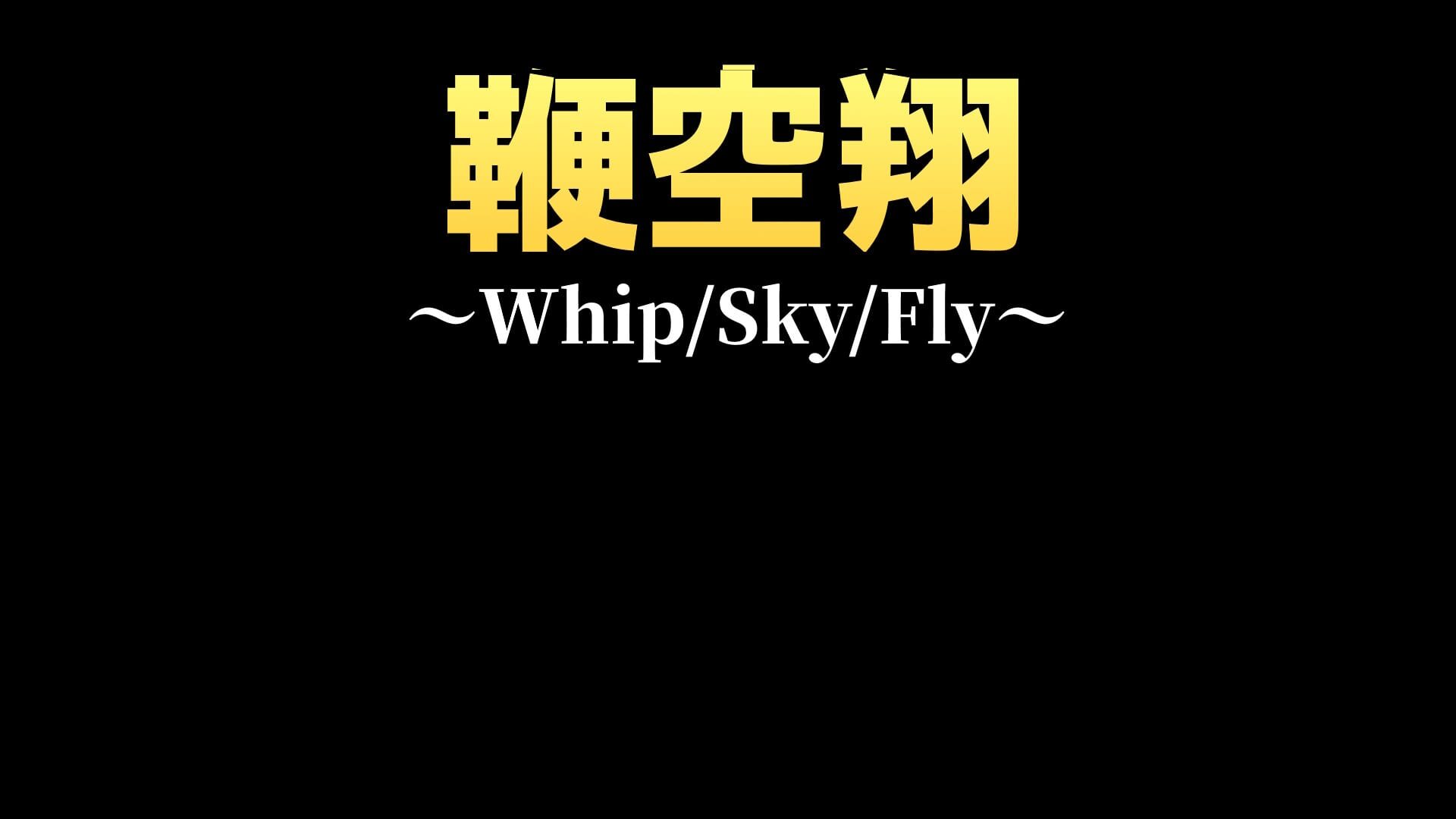 Whip/Sky/Fly artwork