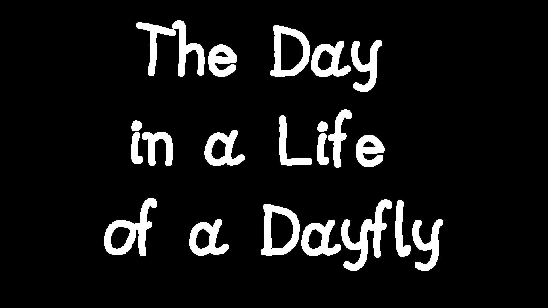 Artwork for The Day in a Life of a Dayfly