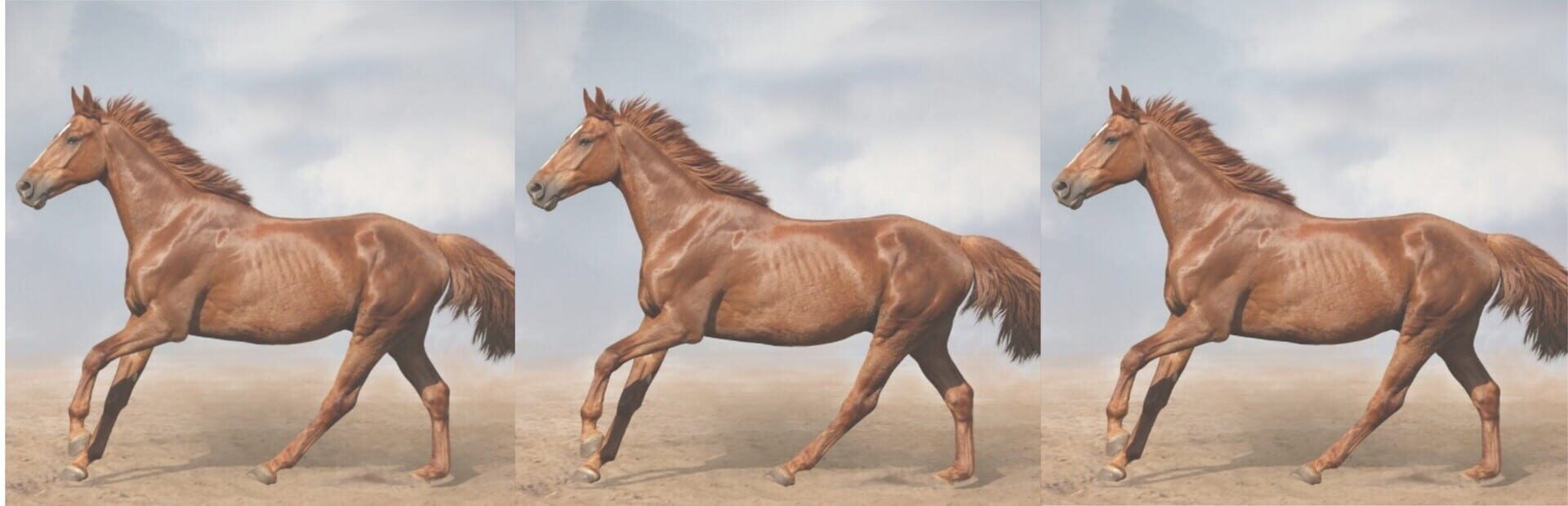 Artwork for HgmGame Horse