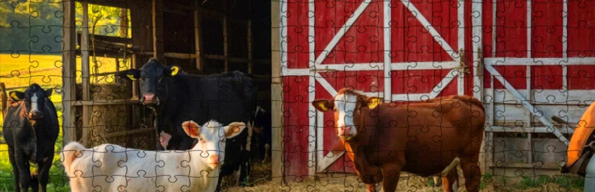 Farmyard Pals Jigsaw Puzzles