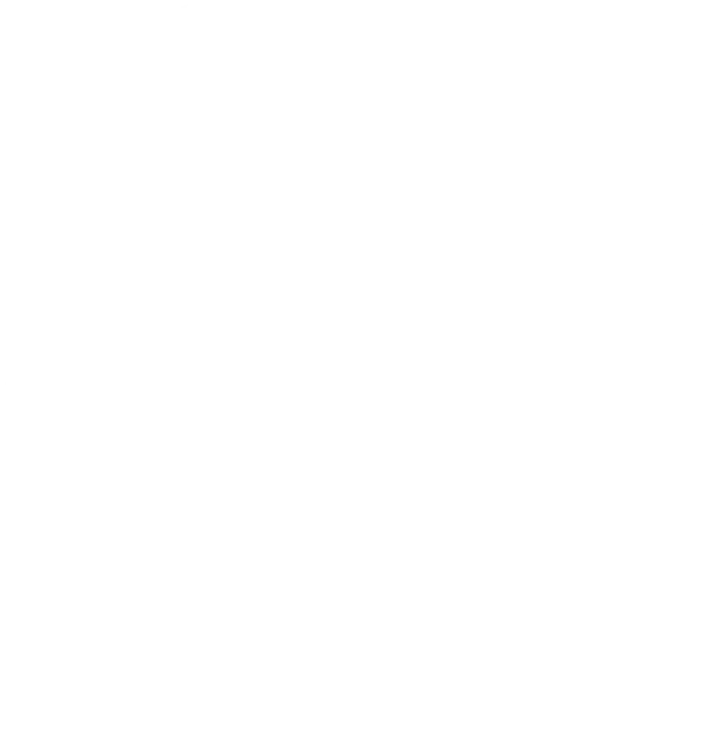 iGP Manager