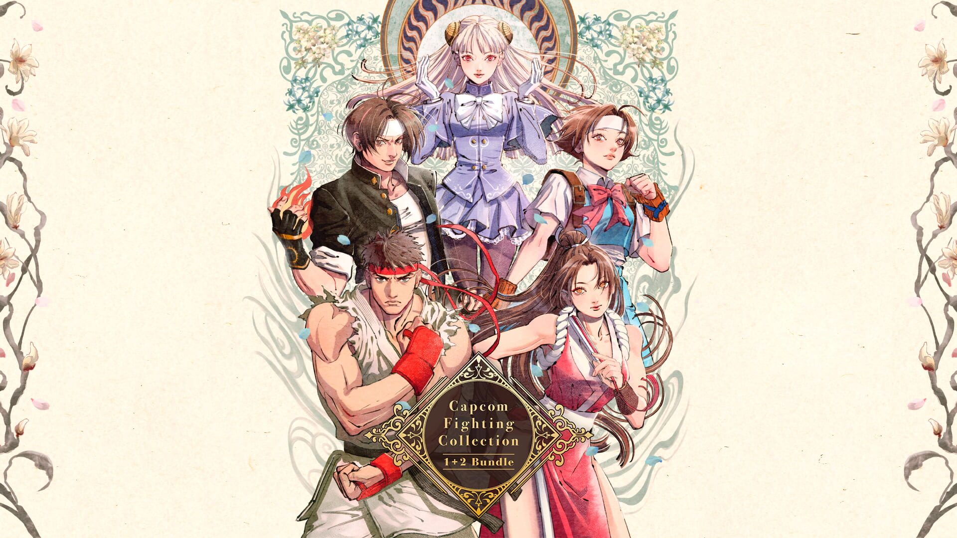 Capcom Fighting Collection 1 & 2 Bundle artwork