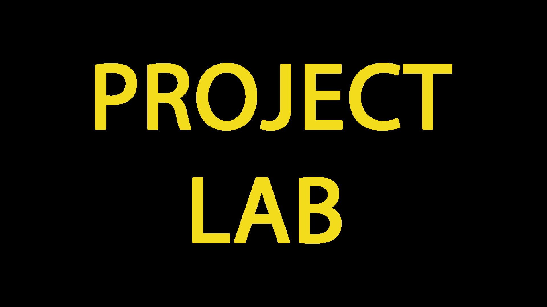Artwork for Project Lab