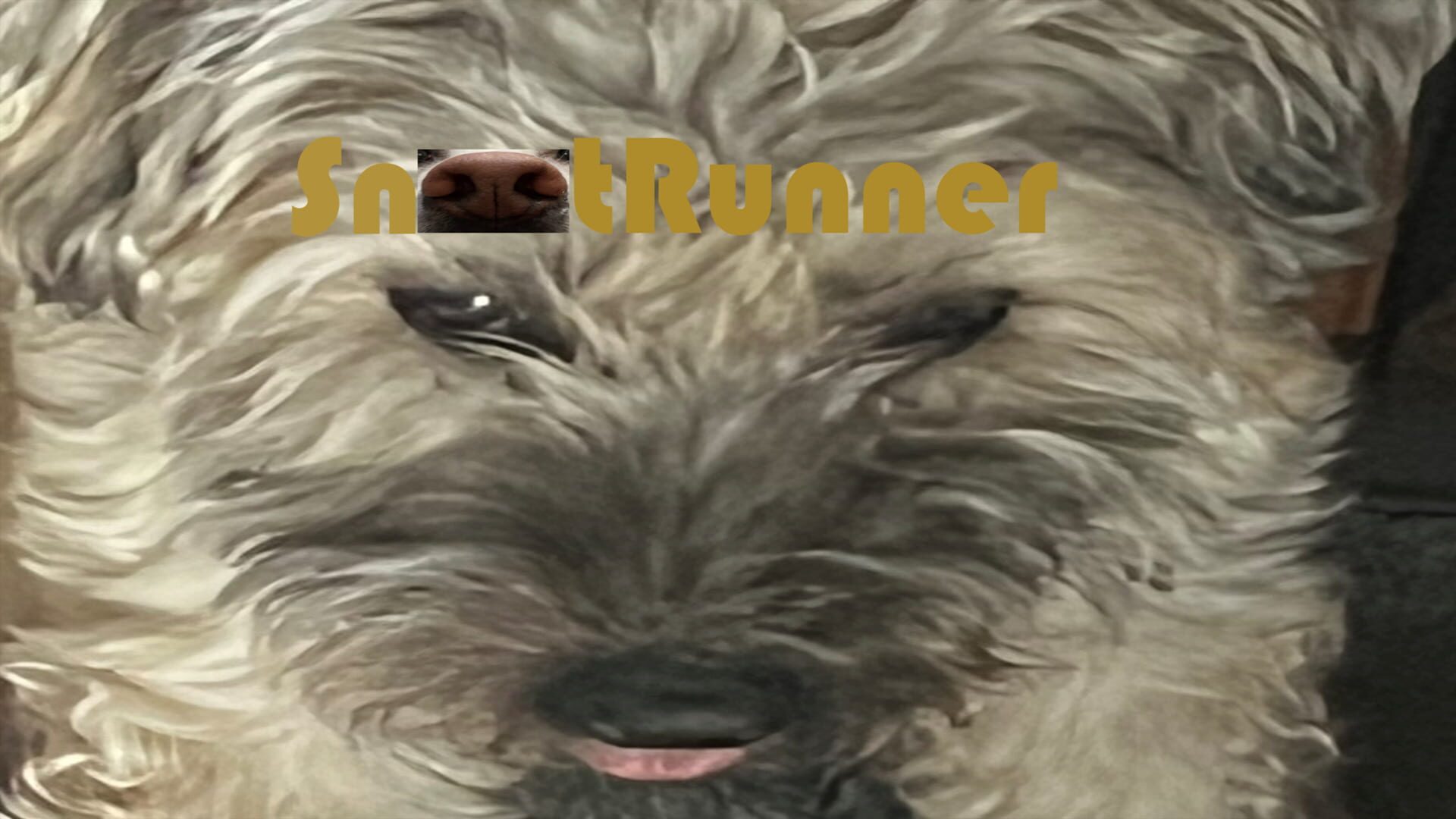 Artwork for Snoot Runner