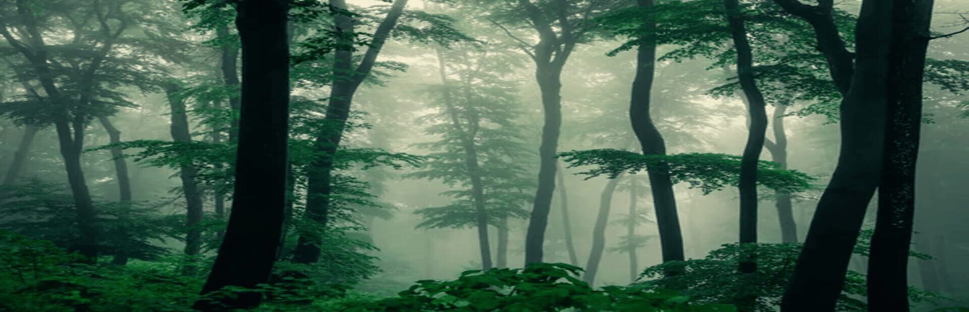 Artwork for JungleBoys