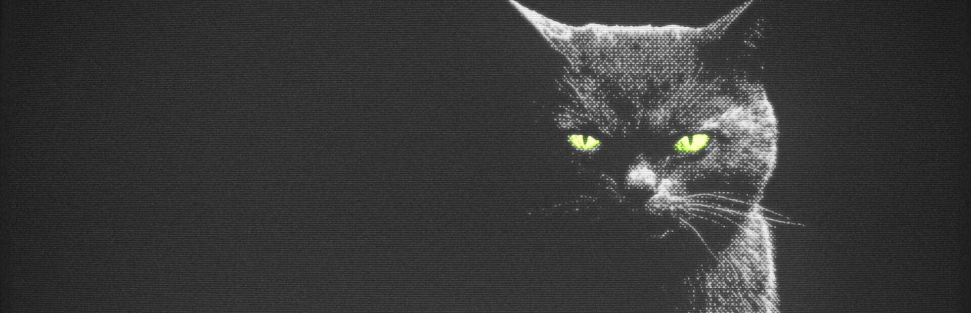 Artwork for Purrrification