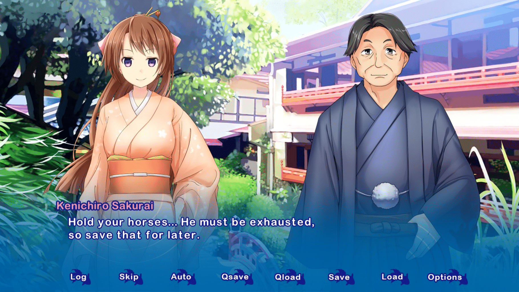 Kyoto Colorful Days screenshot