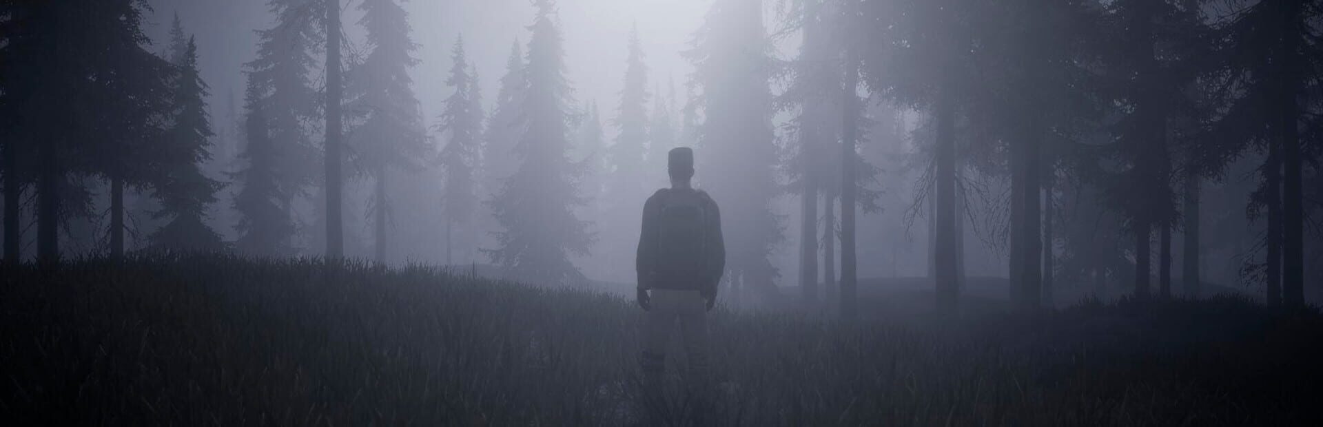 Artwork for Horror in the Forest