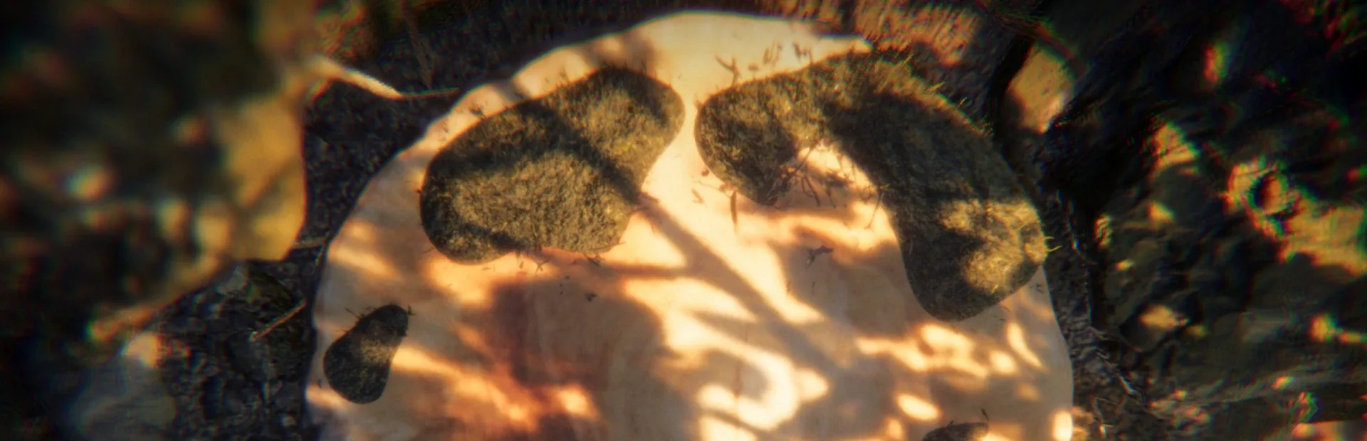 Mycelium Mayhem