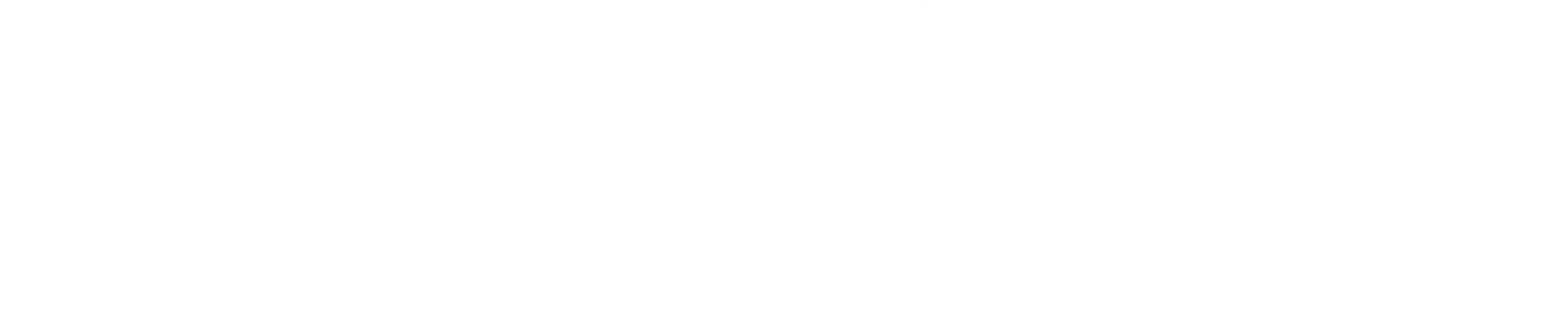 Speedway Club Manager 25