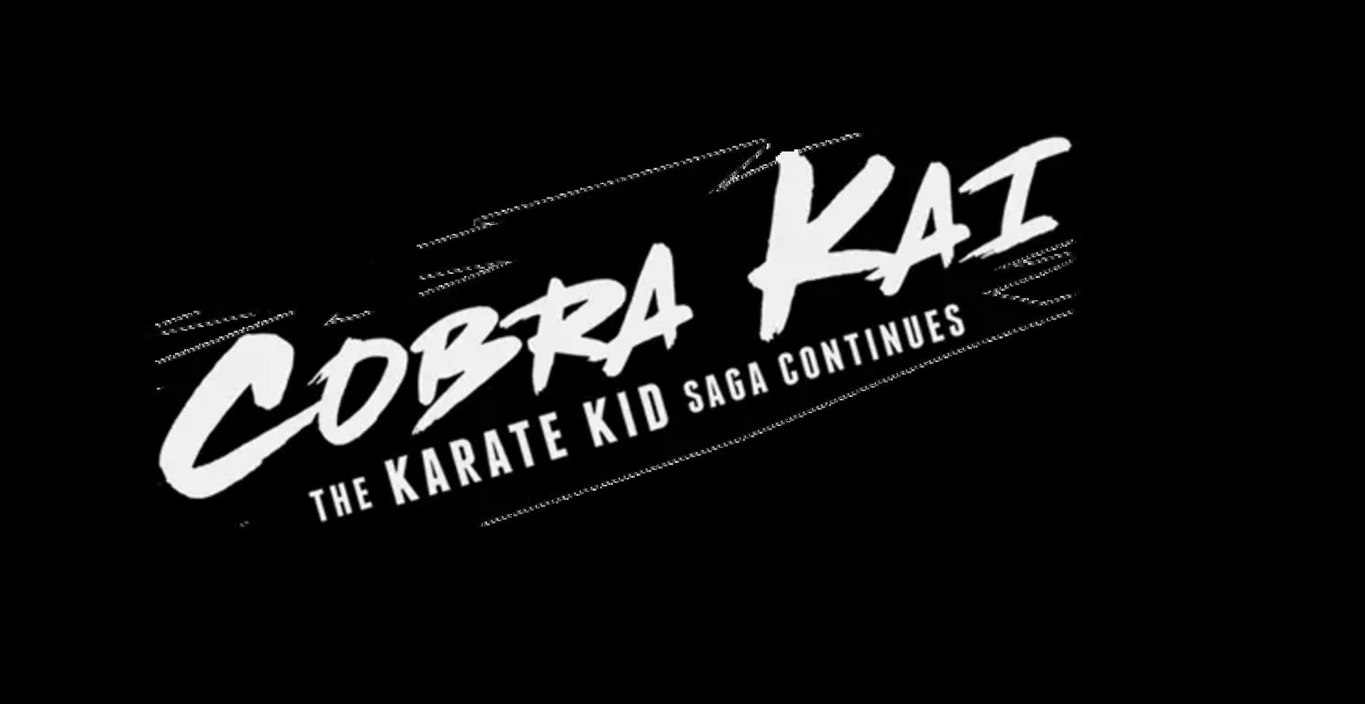 Cobra Kai: The Karate Kid Saga Continues artwork