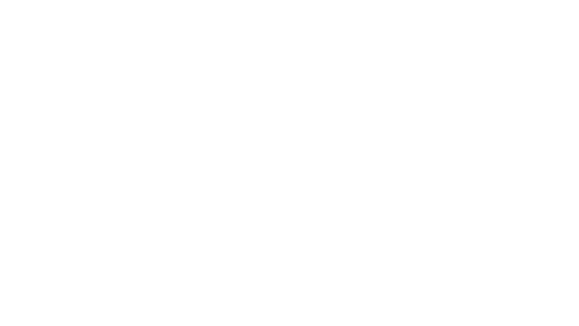 The Puzzler