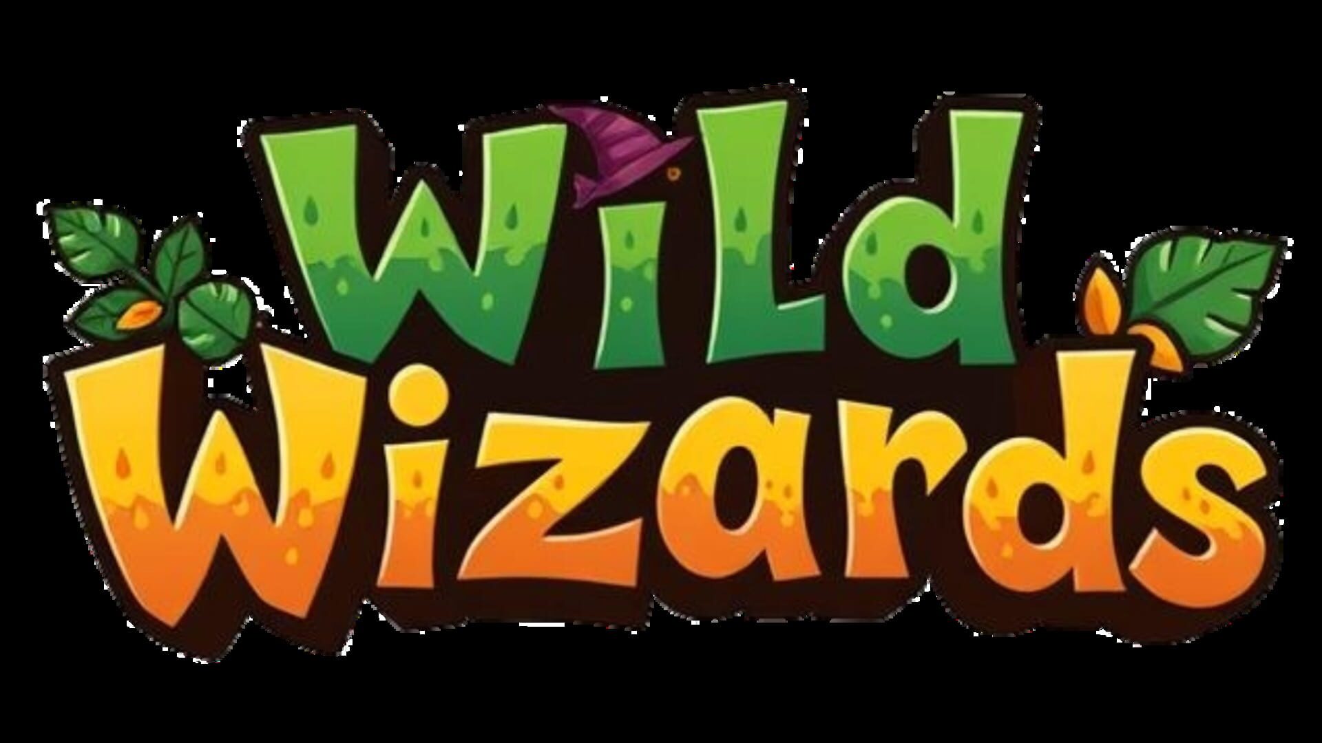 Artwork for Wild Wizards