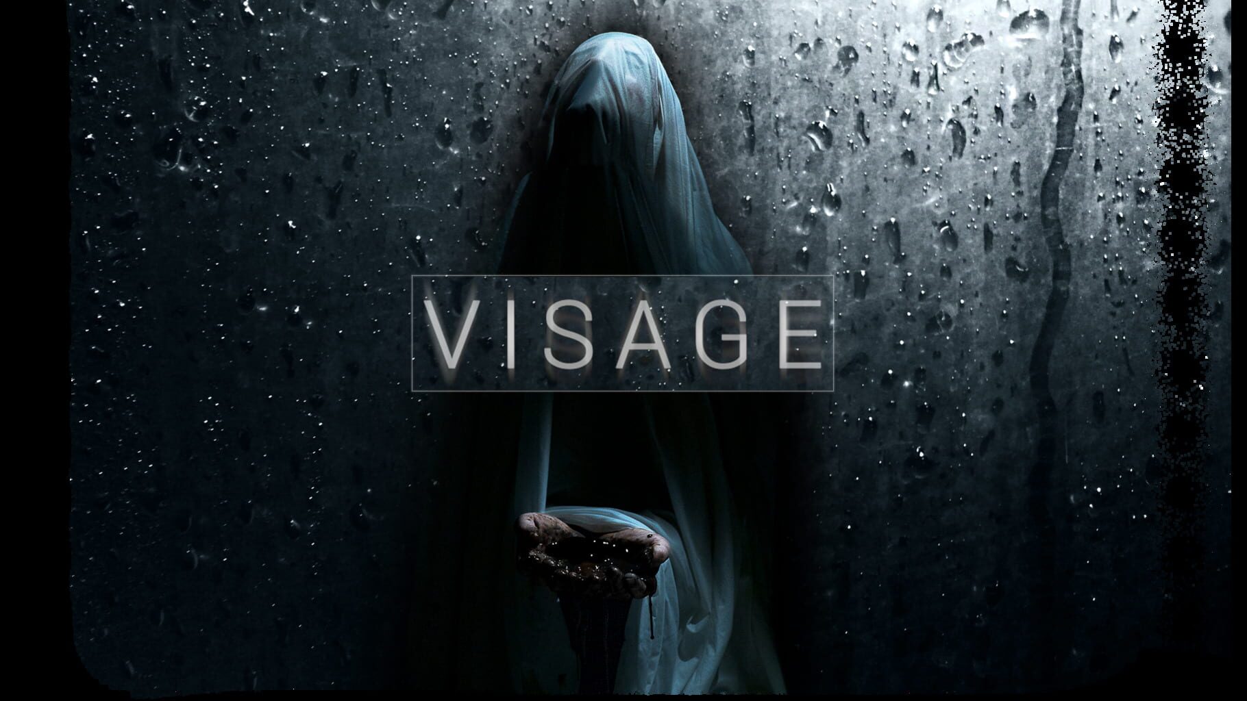 Visage Image