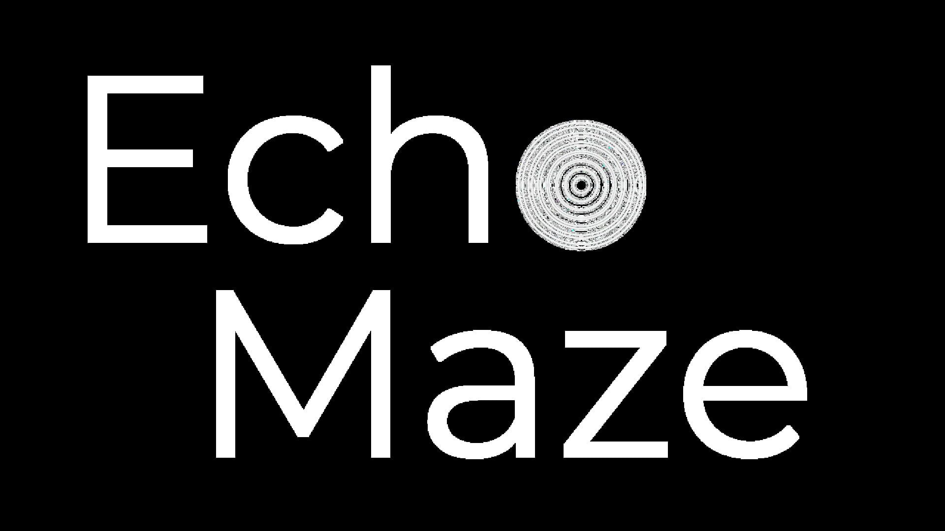 Echo Maze artwork