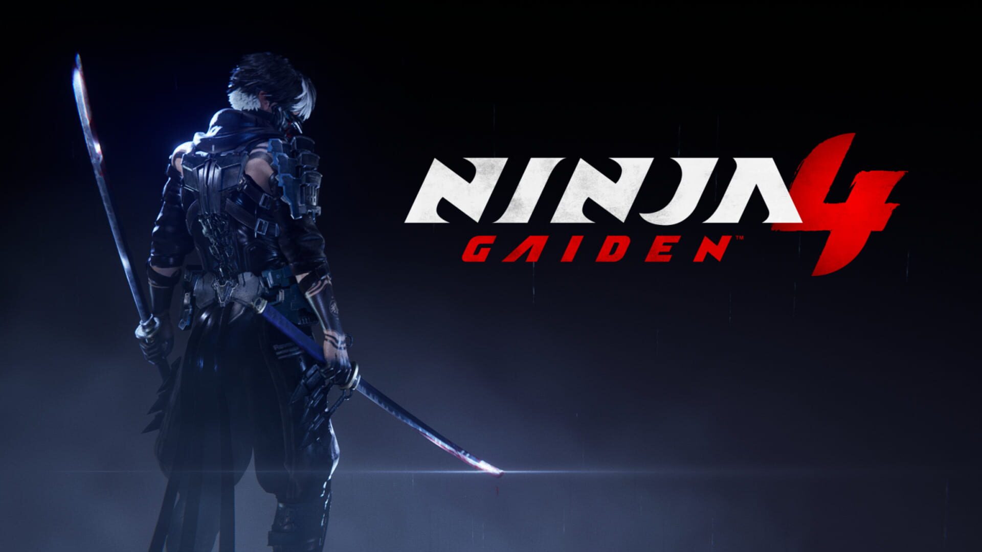 Artwork de Ninja Gaiden 4