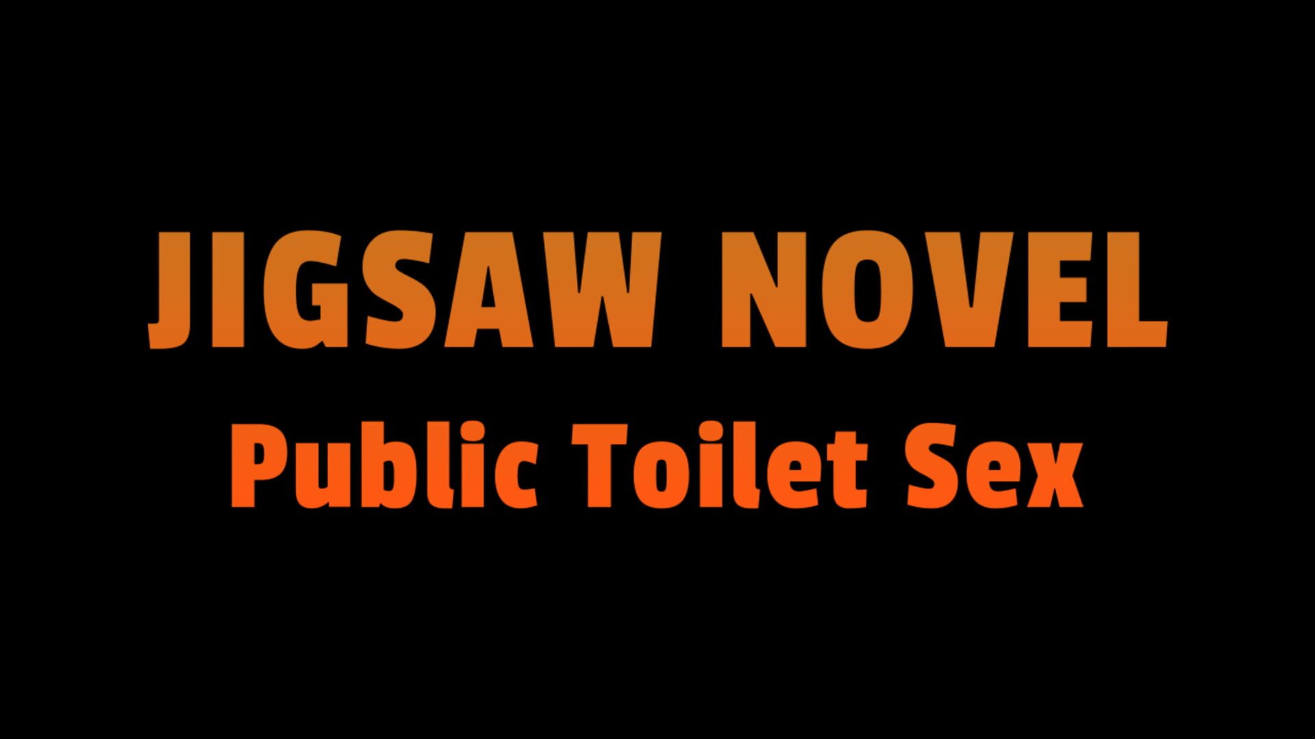 Jigsaw Novel: Public Toilet Sex