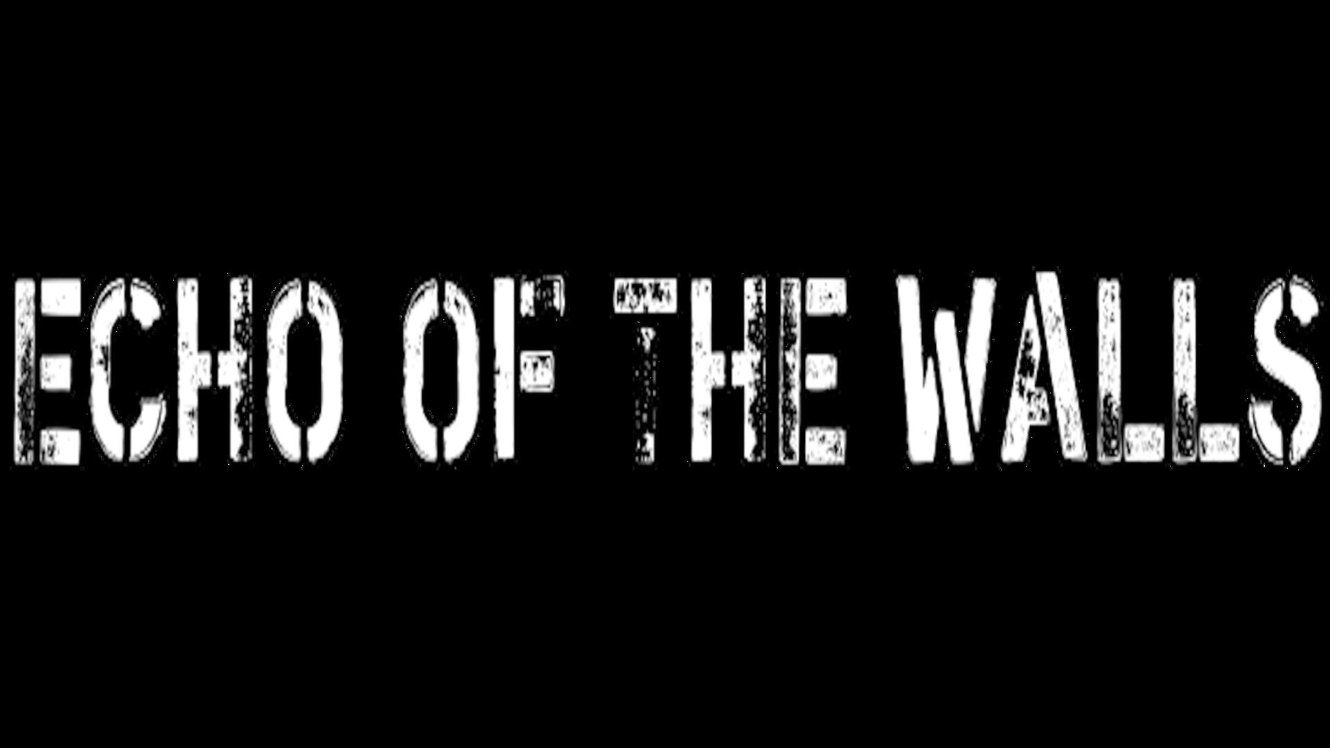 Artwork for Echo of the Walls