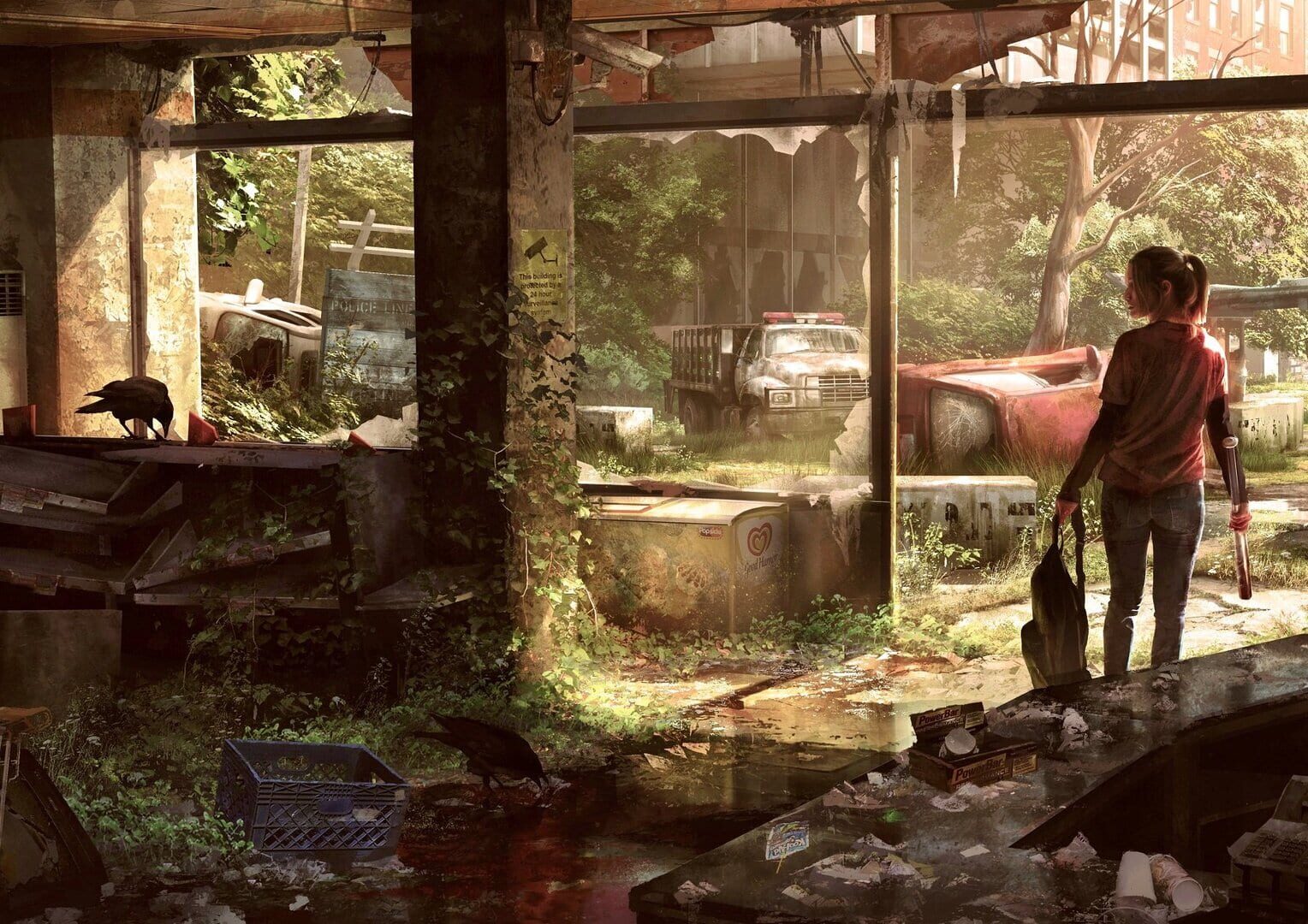 Arte - The Last of Us Remastered