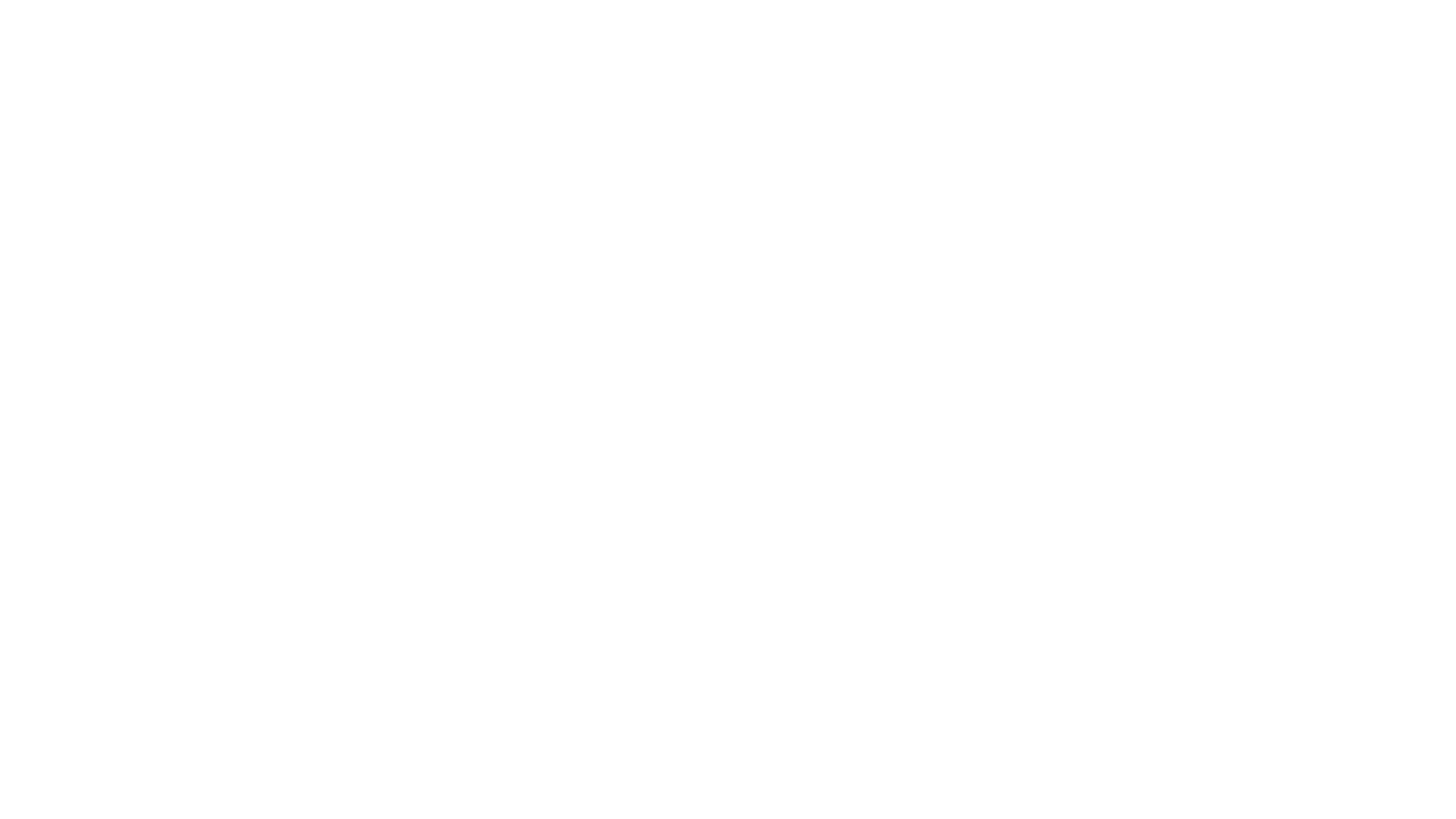 Helper Cat