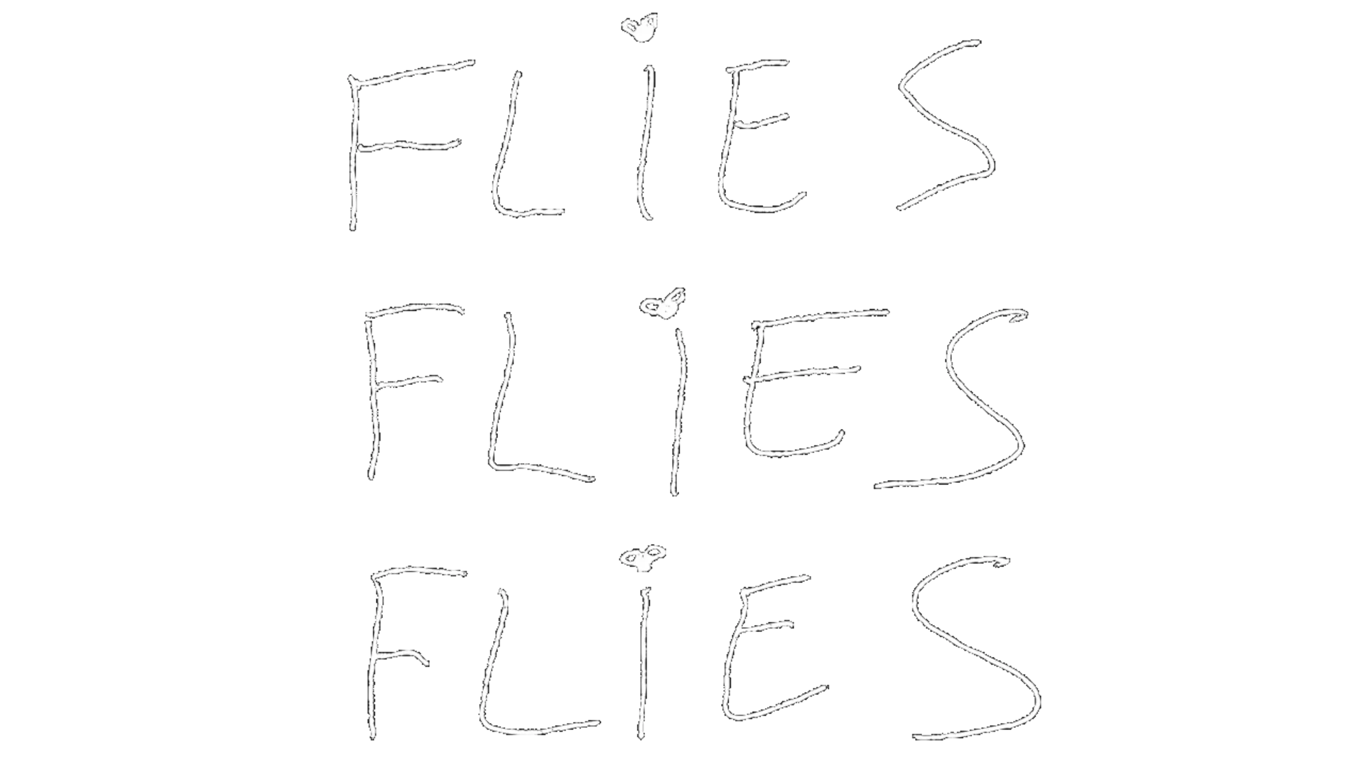Flies Flies Flies