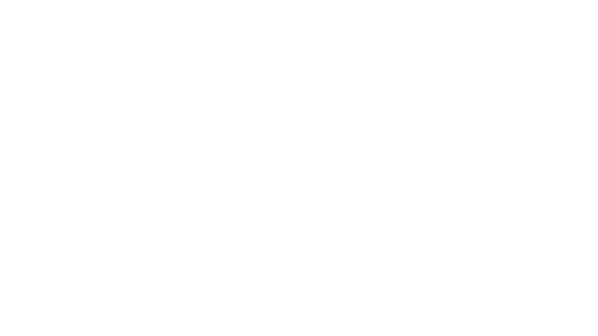 Cam
