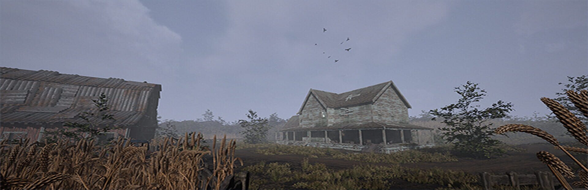 Artwork for Annina: Farm