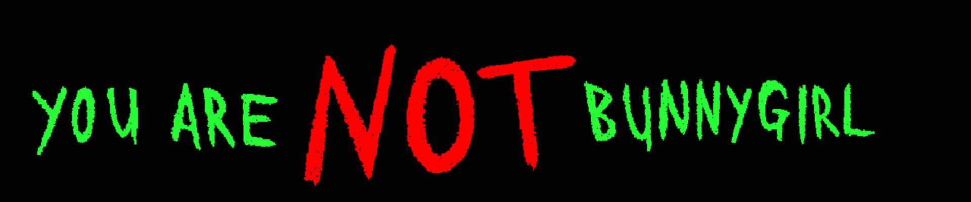 You Are Not Bunnygirl artwork