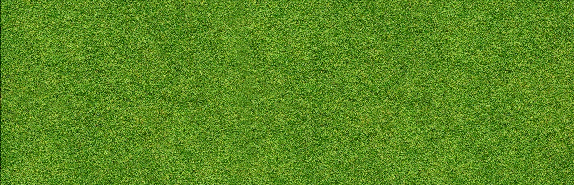 Clutter 17: Flower Power - Collector's Edition