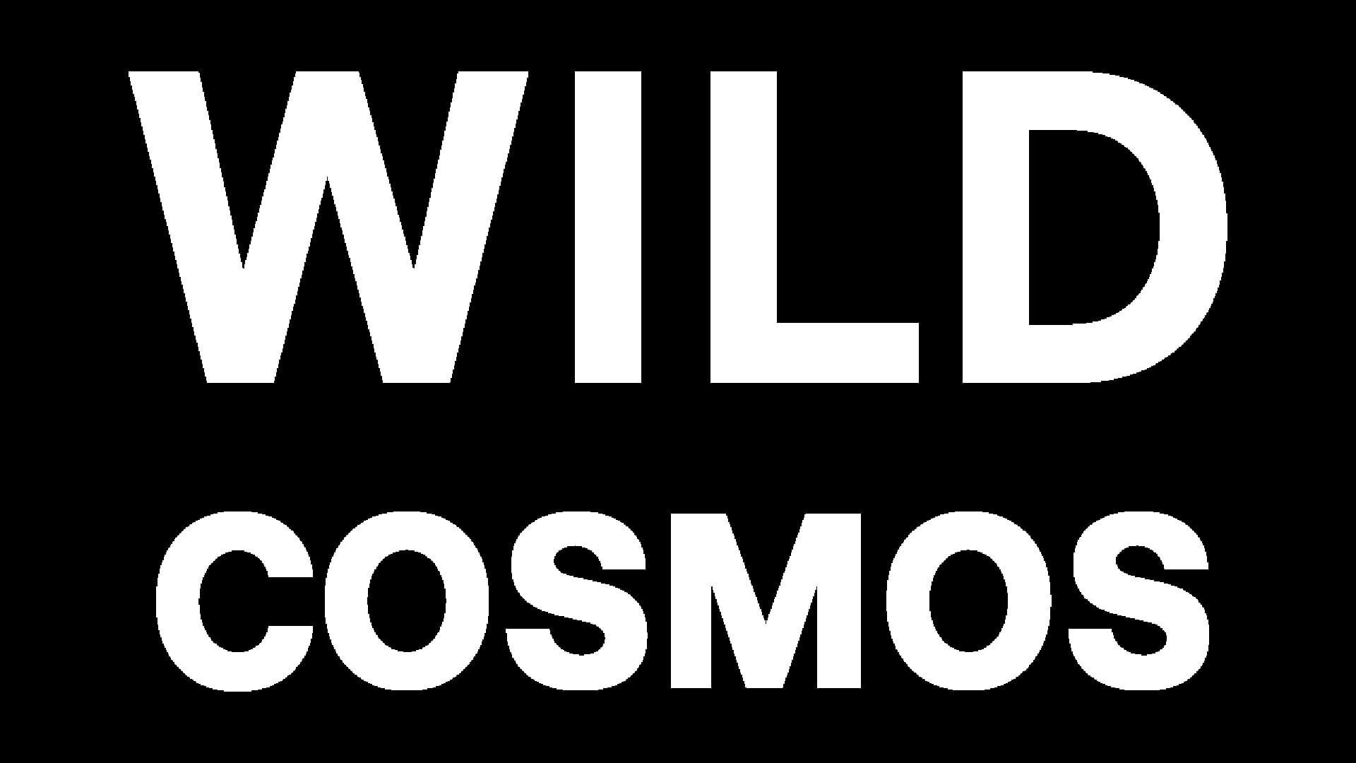 Wild Cosmos