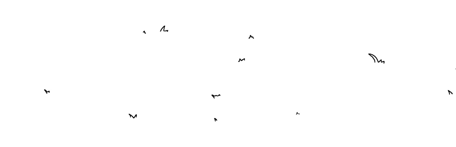 Hidey Ducks: Seasons