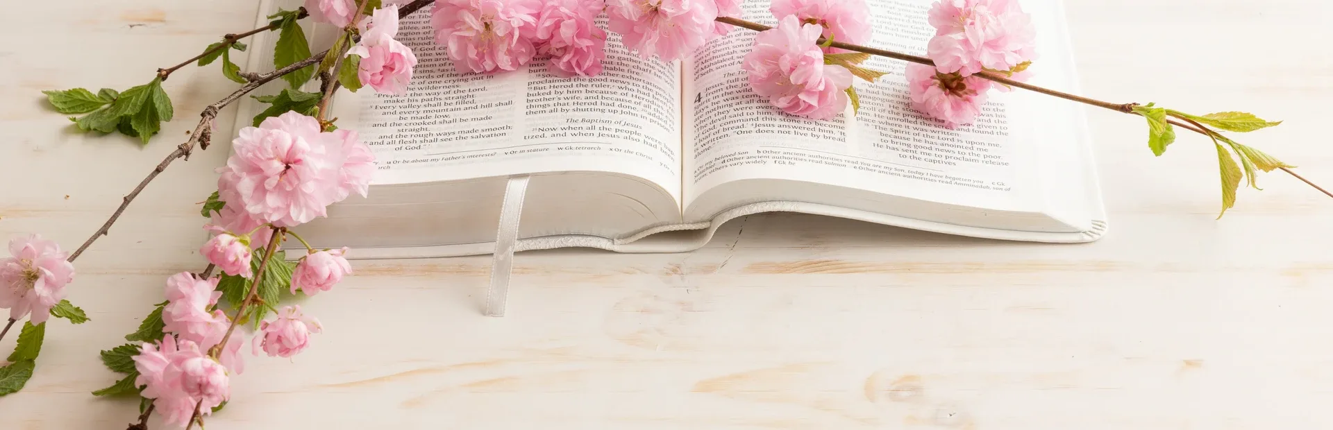 Bible Verse Challenge