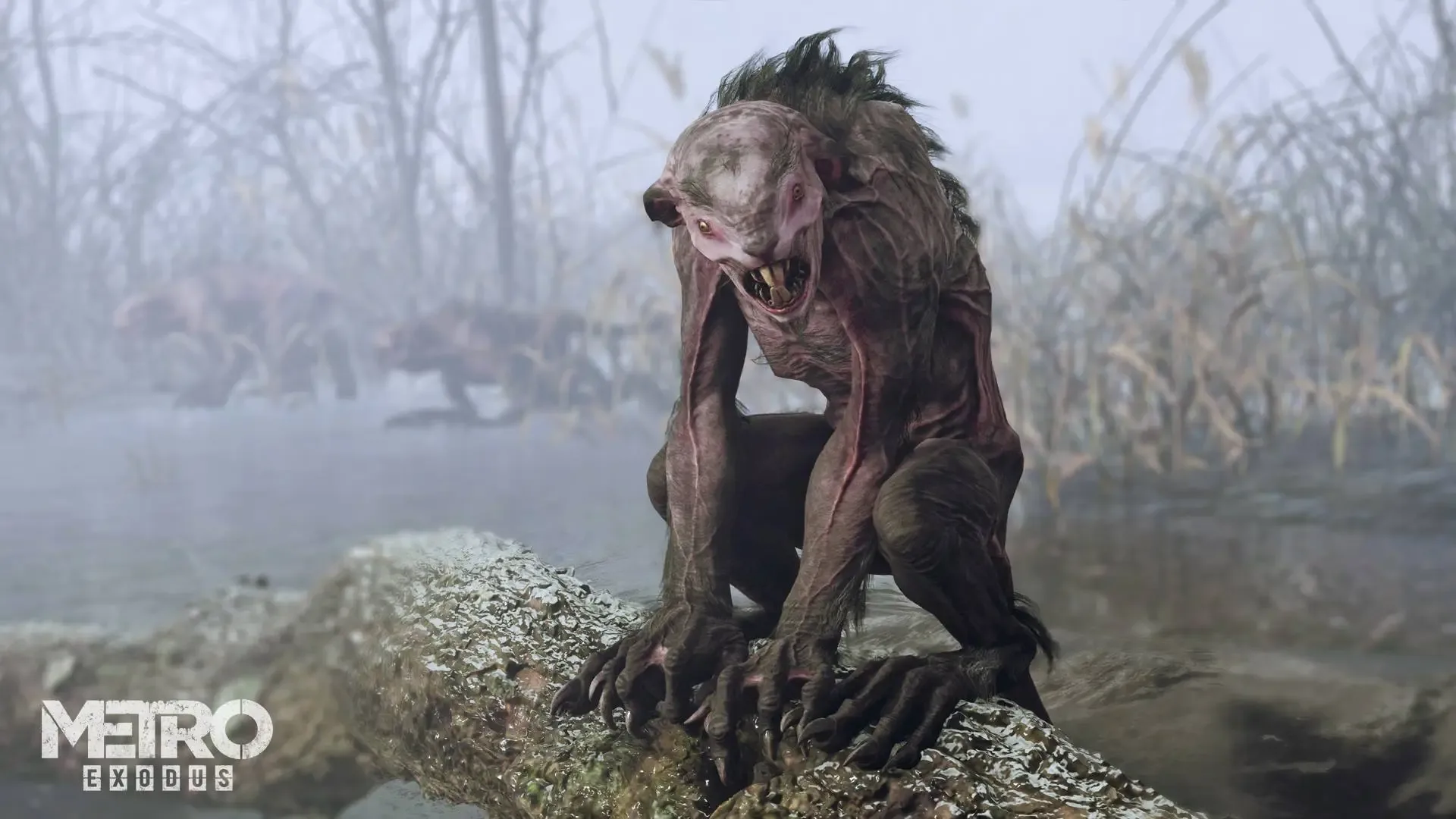 Arte - Metro Exodus