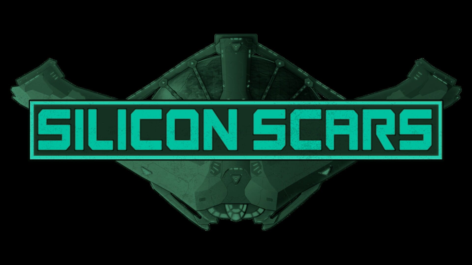 Silicon Scars