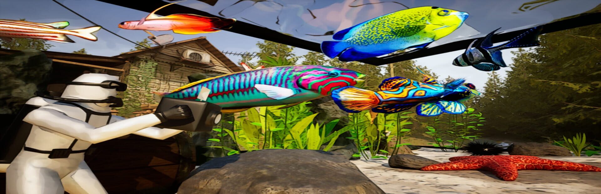 Artwork for Fish Tank Simulator