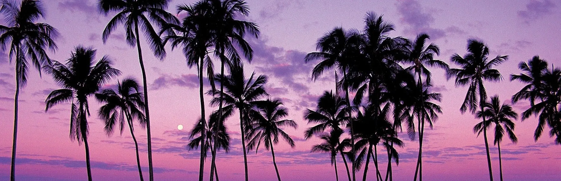 Clown Theft Auto: Woke City