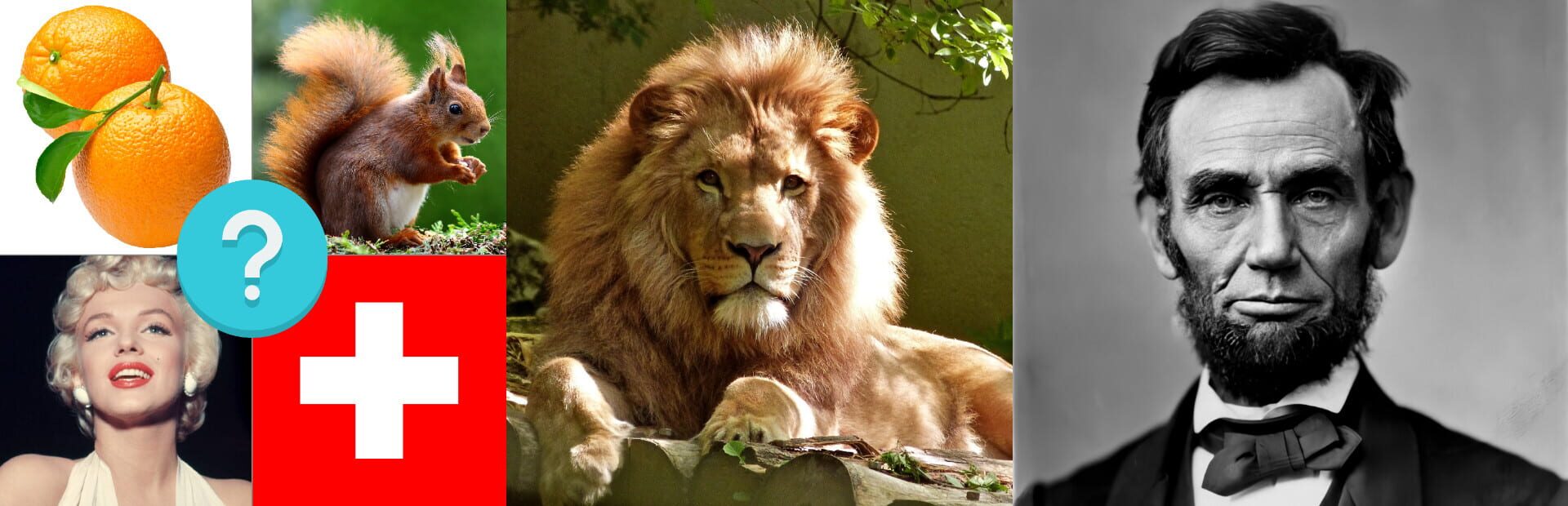 Quiz Pro: Guess Pictures