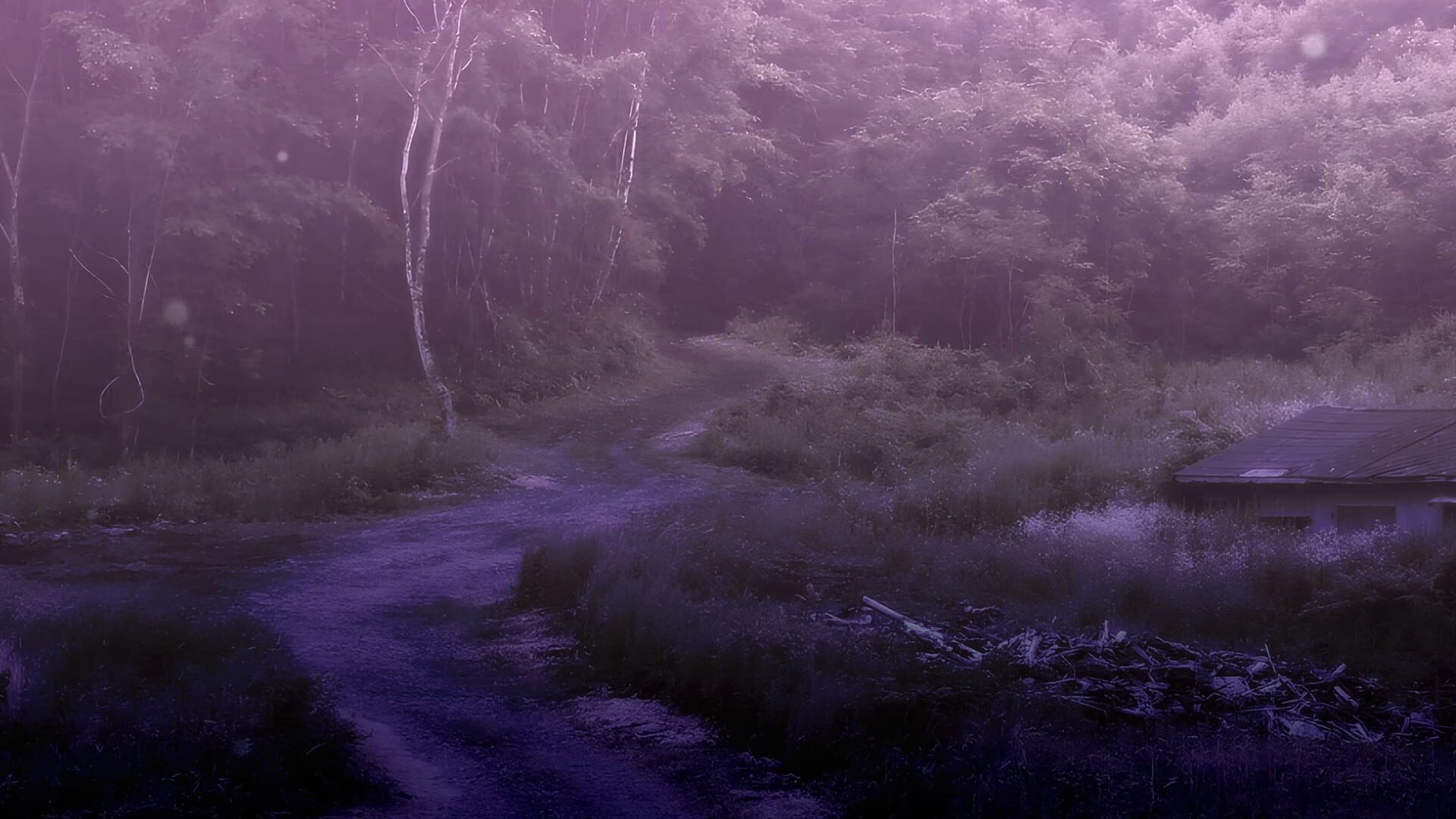 Our Burial Dolls Remastered artwork