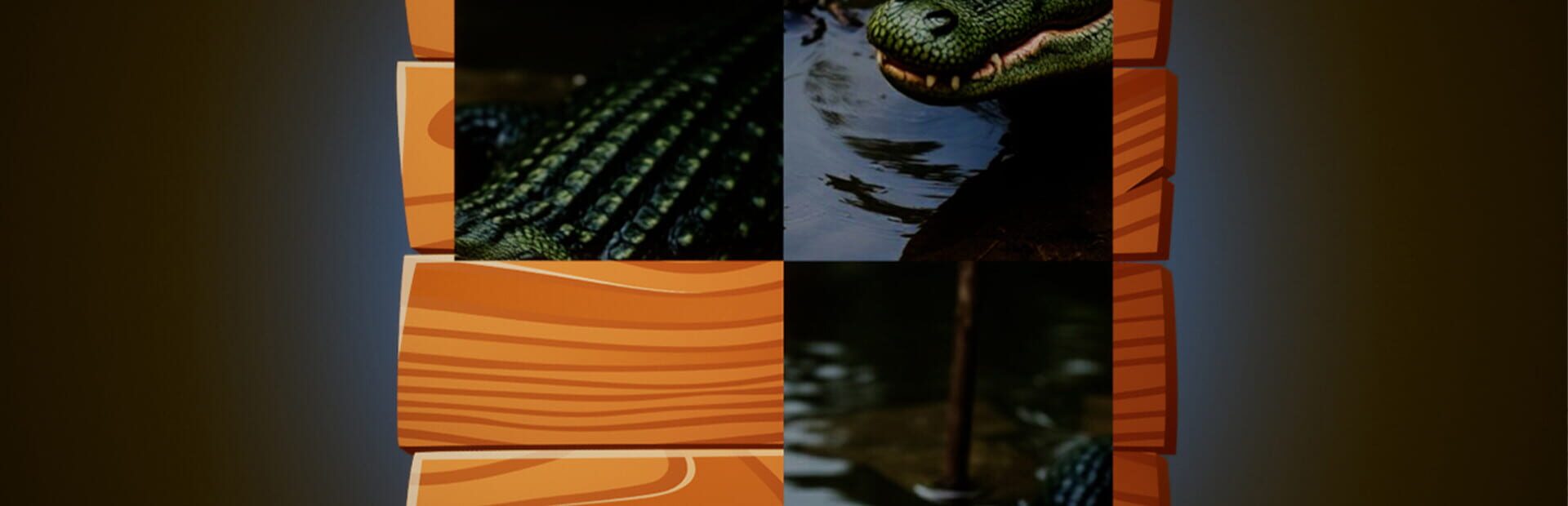 Artwork for Saylor Animals Puzzle