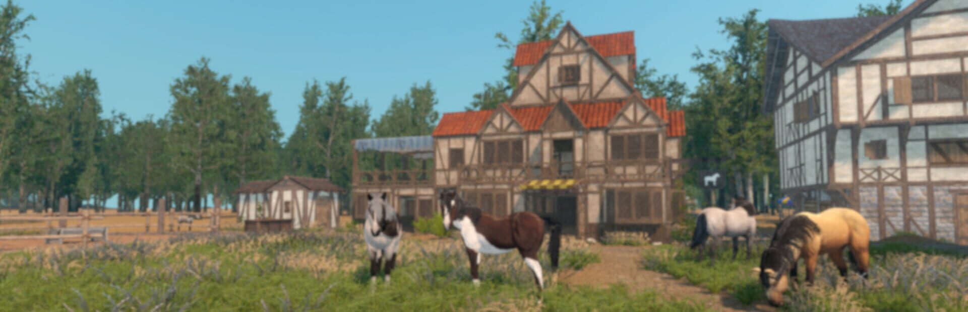 Medieval Horse Dealer Simulator