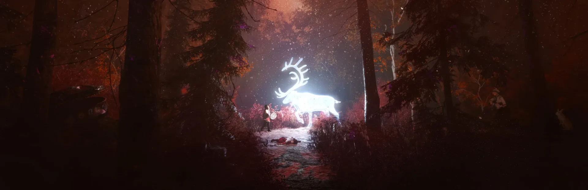 Skábma: Snowfall