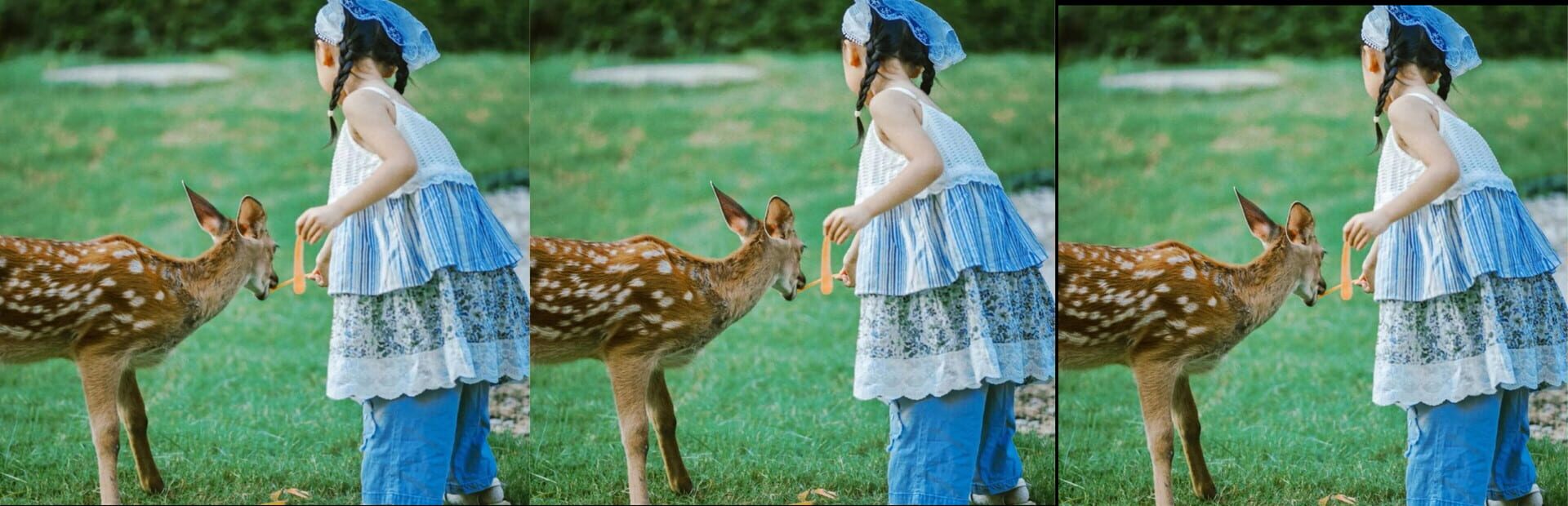 Artwork for Deer