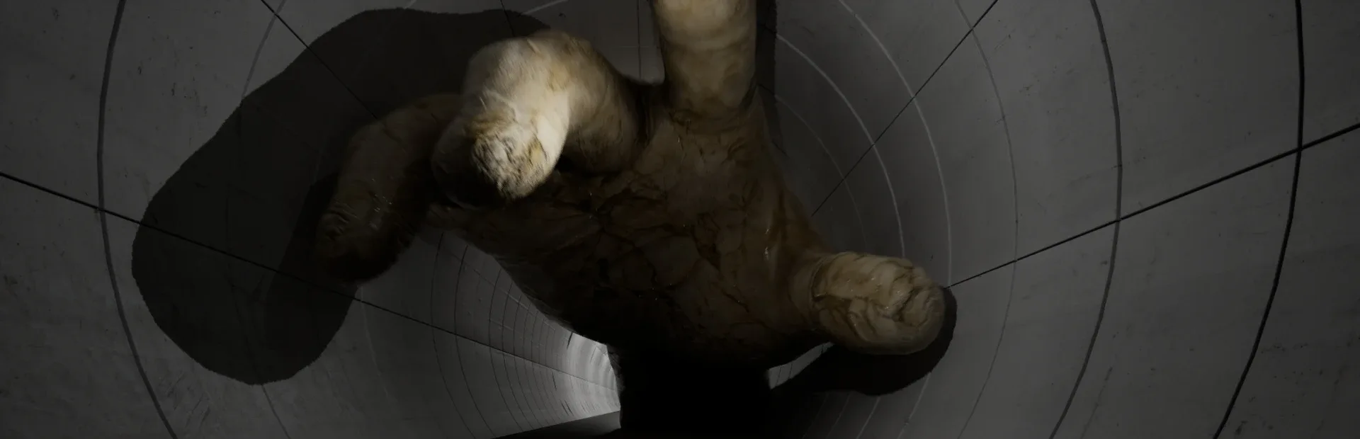 Parasite Tunnel