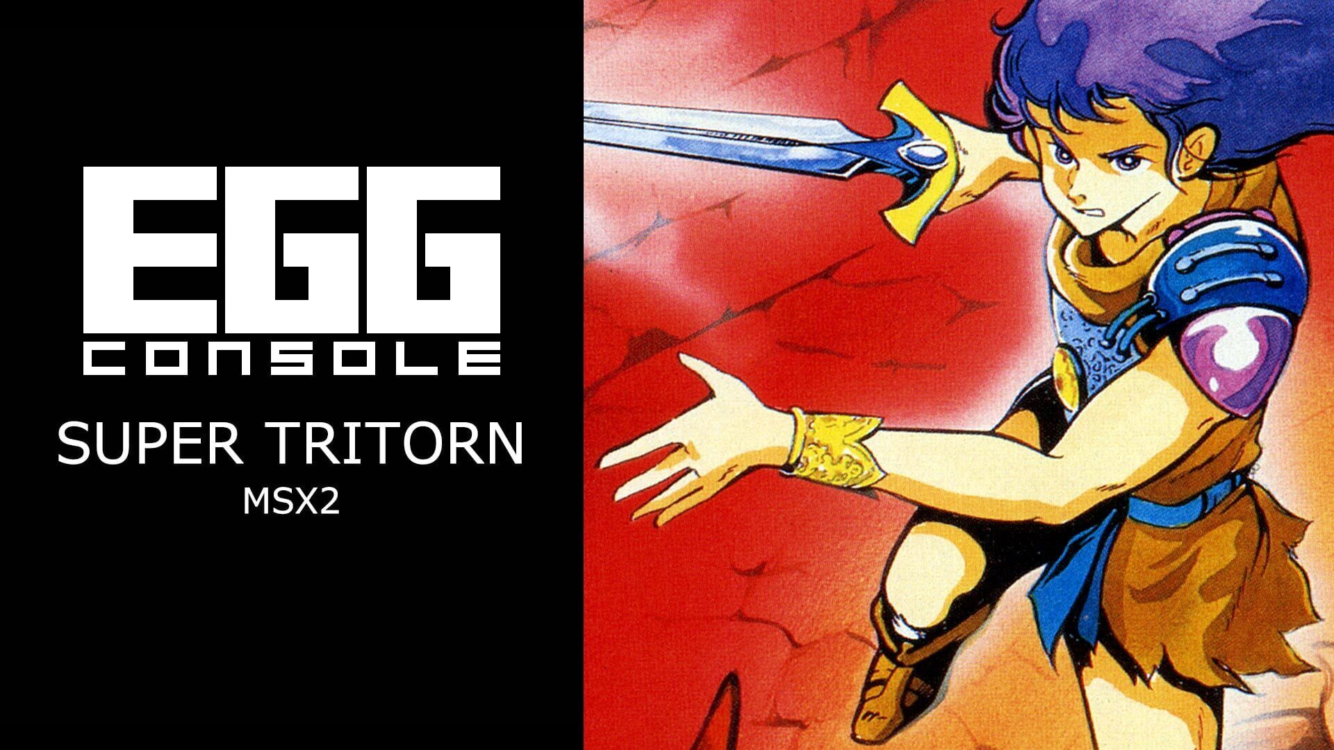 Artwork for Eggconsole Super Tritorn MSX2